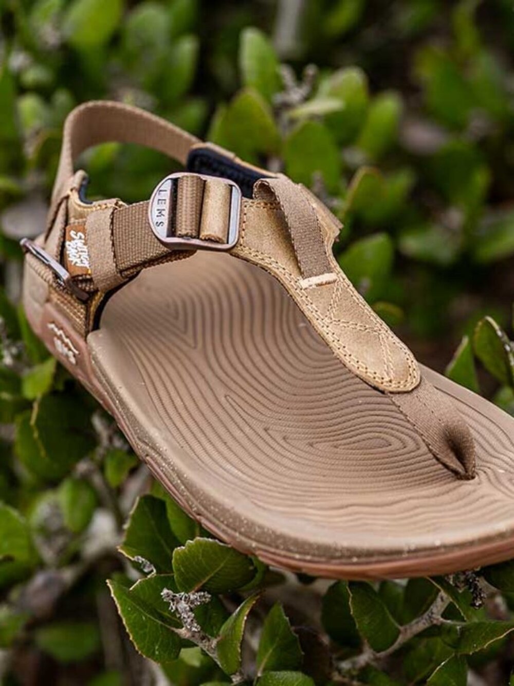 Lems Switchback Sandal in Sandstorm, Size 7 Women / 6 Men